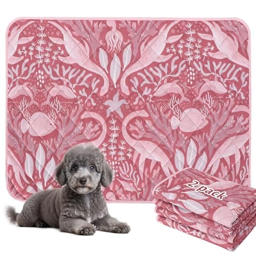 BVAGSS Washable Pee Pads for Dogs, 2 Pack Reusable Leakproof Puppy Wee Wee Pad, Non-Slip Waterproof Pet Training Pads, Super Absorbent Whelping Pads XH081 (Dino Pink, 24X24 Inch (Pack of 2))