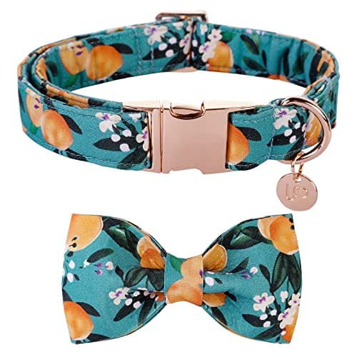 UP URARA PUP Dog Collar with Bow Tie, Durable Comfortable Cotton Dog Bowtie Collar with Metal Buckle for Medium Dog Girl Boy, Summer Cute Dog Collar, M