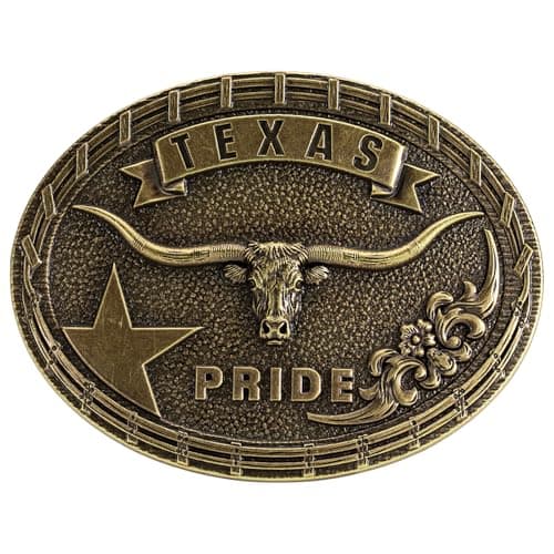 Biyblets Texas Longhorn Bull Belt Buckle - Western Buckle for Cowboy & Cowgirl Rodeo and Country Western Belts (Cow Skull 01 Bronze)