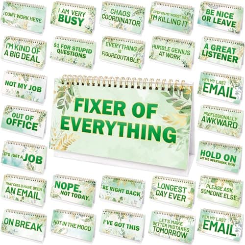 Fancy Land Funny Desk Signs Funny Desk Accessories for Work Office Gag Gift