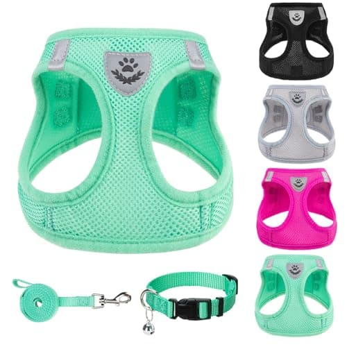 PUPTECK Adjustable Dog Harness Collar and Leash Set Step in No Pull Pet Harness for Small Medium Dogs Puppy and Cats Outdoor Walking Running, Soft Mesh Padded Reflective Vest Harnesses, Solid Green L
